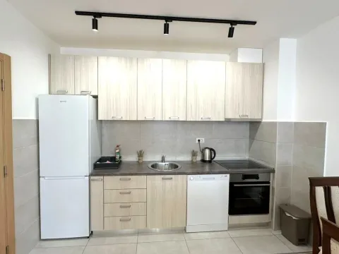 Izdavanje, jednosoban stan, 66m², Stari Aerodrom, Podgorica - image 10