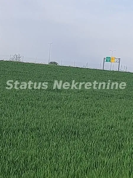 Prodaja, plac, 2600m², Kovilj, Novi Sad Sve Podlokacije