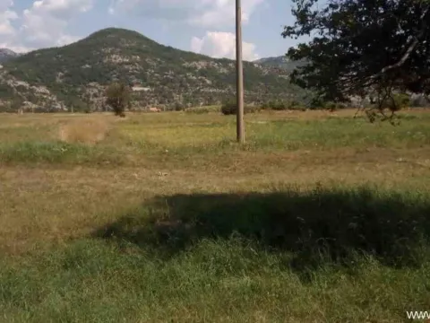Sale, land lot, 8500m², Grahovo, Nikšić - image 6