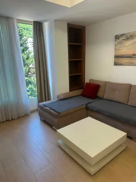 Rent, one bedroom apartment, 40m², Rozino, Budva - image 5