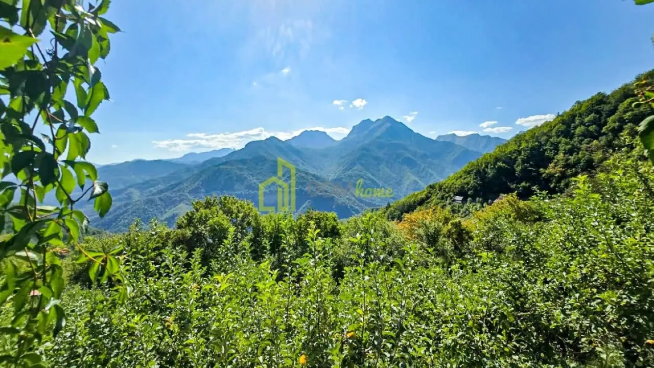 Prodaja, plac, 10000m², Kolašin, Crna Gora