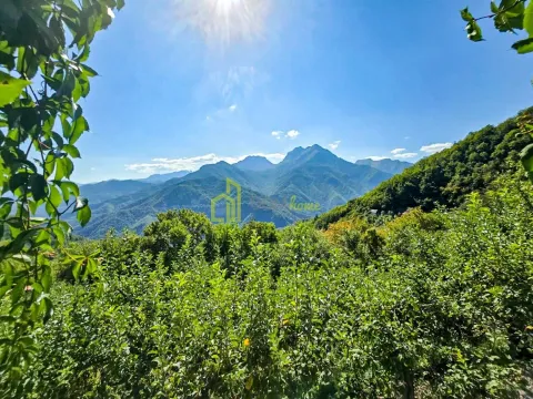 Prodaja, plac, 10000m², Kolašin, Crna Gora - image 1