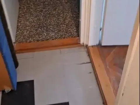 Rent, two bedroom apartment, 60m², Sajmište, Novi Sad - image 8