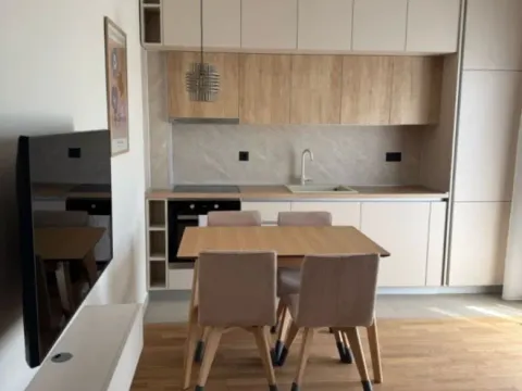 Izdavanje, jednosoban stan, 48m², Zabjelo, Podgorica - image 8