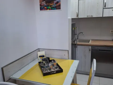 Izdavanje, stan, 30m², Stara Varoš, Podgorica - image 4