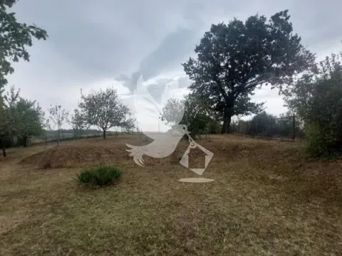 Prodaja, kuća, 226m², Koraćica, Mladenovac - image 5