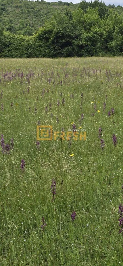 Prodaja, plac, 3500m², Danilovgrad, Crna Gora