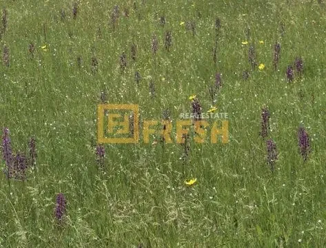 Prodaja, plac, 3500m², Danilovgrad, Crna Gora - image 3