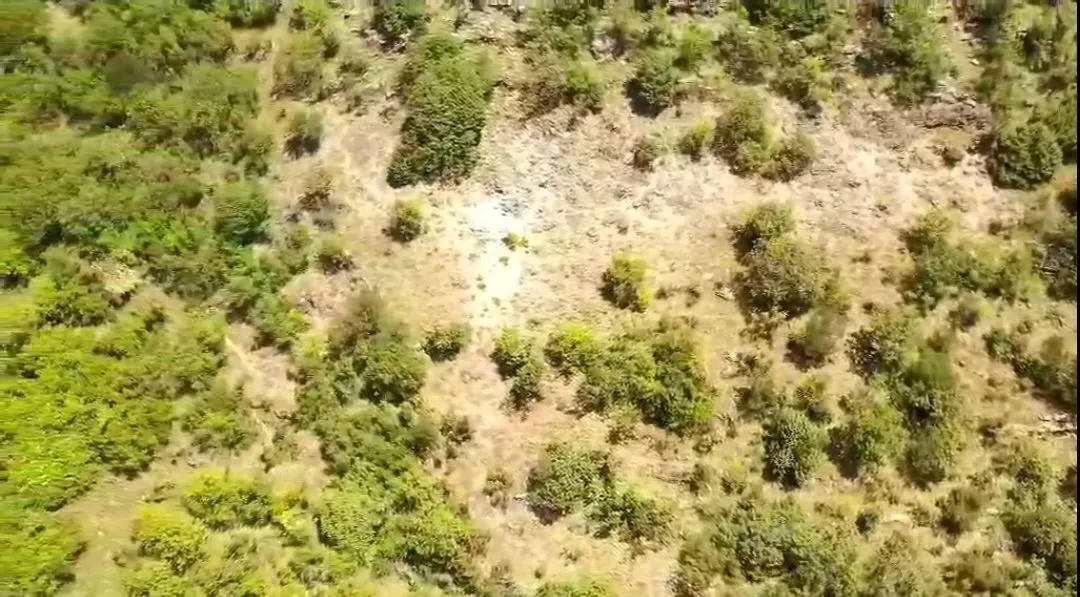 Prodaja, plac, 46000m², Cetinje, Crna Gora