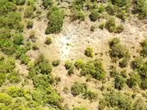 Prodaja, plac, 46000m², Cetinje, Crna Gora - image 2