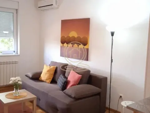 Rent, two bedroom apartment, 48m², Bul Kralja Aleksandra, Zvezdara Sve Podlokacije - image 4