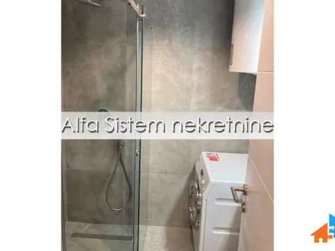 Izdavanje, dvosoban stan, 52m², Južni Bulevar, Vračar Sve Podlokacije - image 15