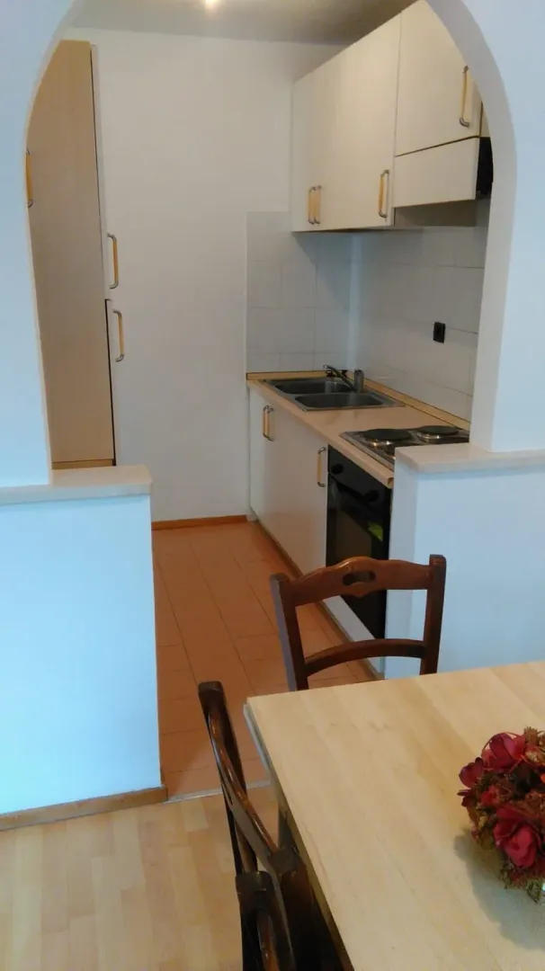 Izdavanje, jednosoban stan, 53m², Centar, Budva