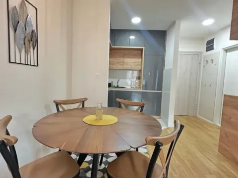 Izdavanje, jednosoban stan, 43m², Central Point, Podgorica - image 3