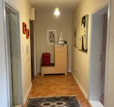 Izdavanje, jednosoban stan, 50m², Stari Aerodrom, Podgorica - image 5