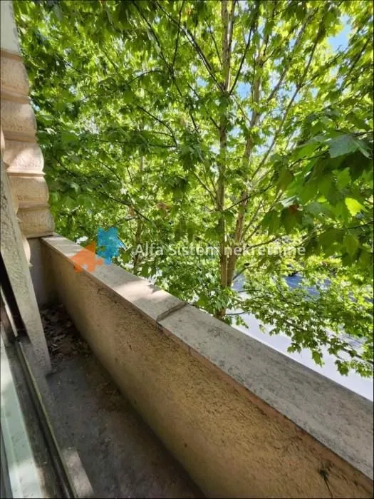 View from the balcony overlooking green trees and surroundings.