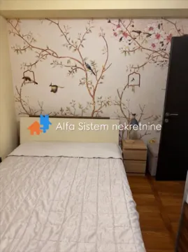 Izdavanje, dvosoban stan, 75m², Južni Bulevar, Vračar Sve Podlokacije - image 8