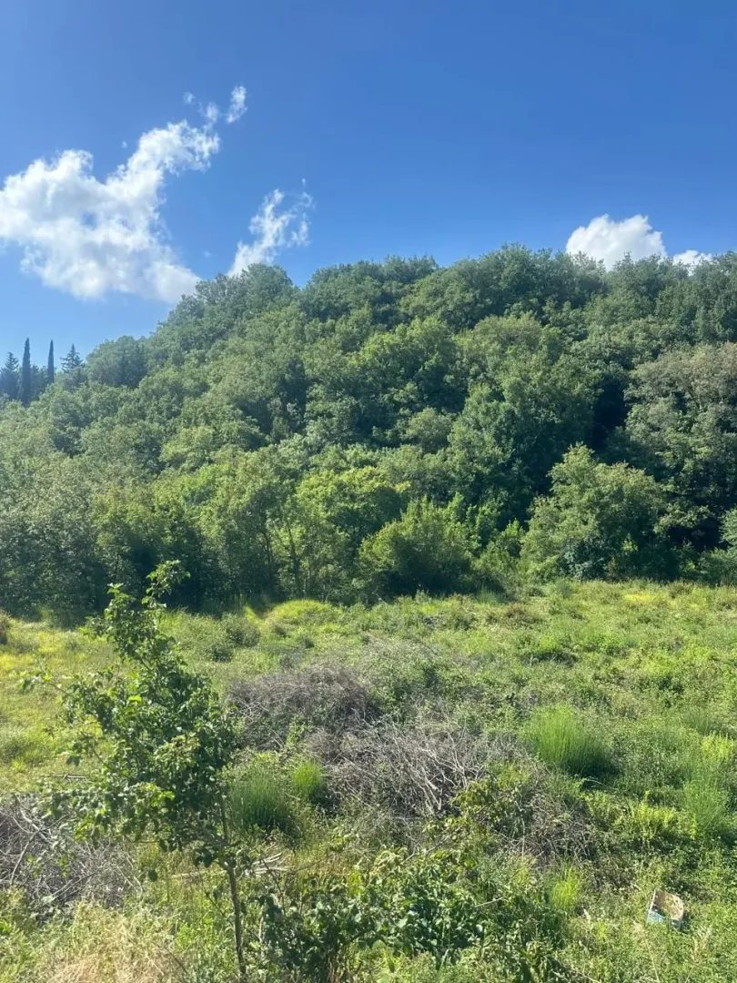 Prodaja, plac, 2420m², Šišići, Kotor