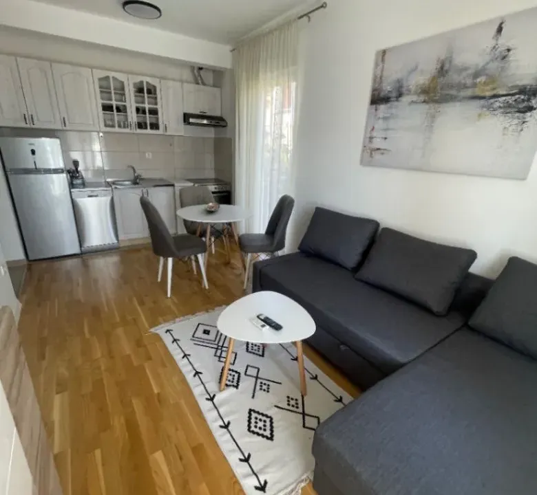 Izdavanje, garsonjera, 22m², Zabjelo, Podgorica