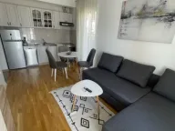 Izdavanje, garsonjera, 22m², Zabjelo, Podgorica - image 1