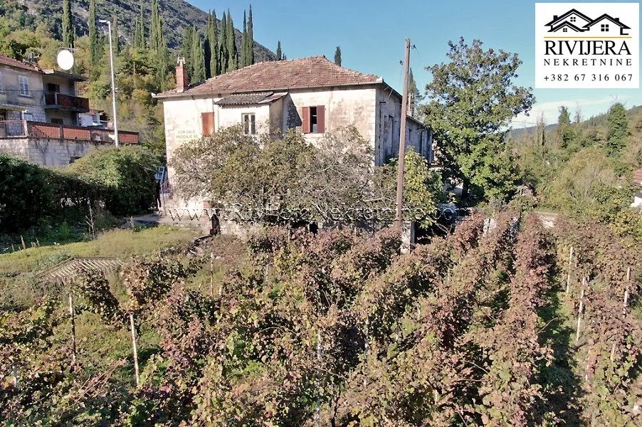 Prodaja, plac, 3636m², Sutorina, Herceg Novi