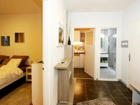 Izdavanje, dvosoban stan, 54m², Savski Venac, Beograd - image 11