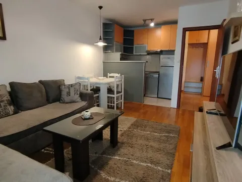 Rent, one bedroom apartment, 45m², Stari Aerodrom, Podgorica - image 2