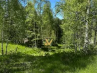 Sale, land lot, 470m², Borje, Žabljak - image 5