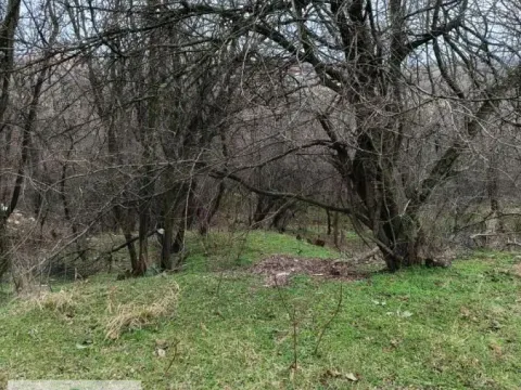 Prodaja, plac, 2156m², Obrenovac, Beograd - image 3