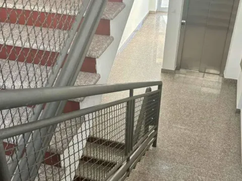 Prodaja, jednosoban stan, 55m², Podgorica, Crna Gora - image 7