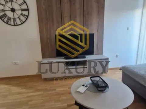 Izdavanje, jednosoban stan, 45m², Zabjelo, Podgorica - image 9