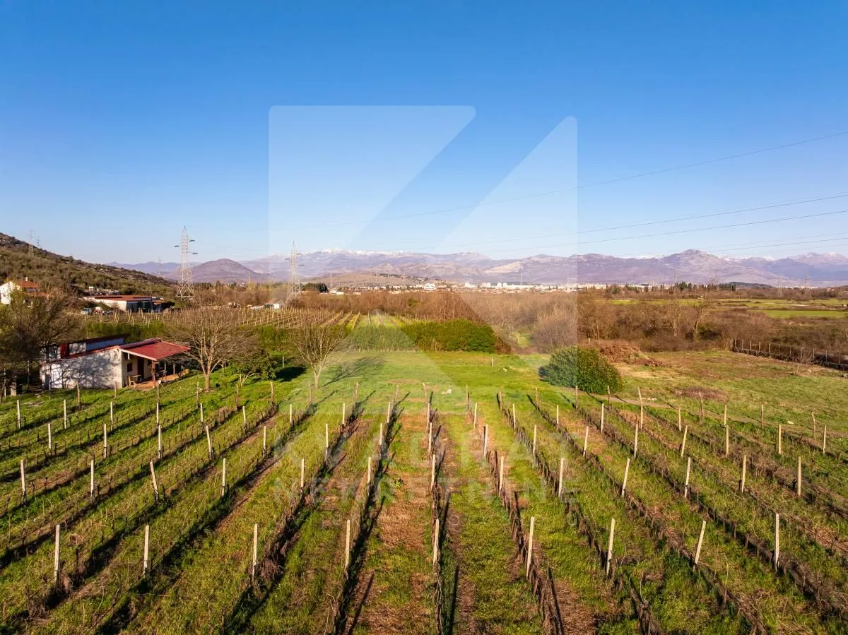 Prodaja, plac, 13000m², Beri, Podgorica