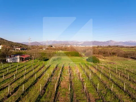 Sale, land lot, 13000m², Beri, Podgorica - image 5