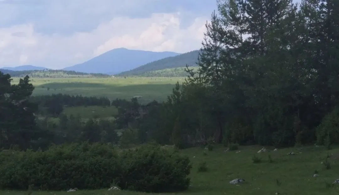 Prodaja, plac, 12000m², Žabljak, Crna Gora
