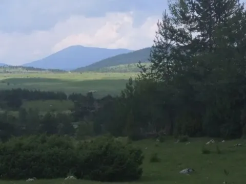 Prodaja, plac, 12000m², Žabljak, Crna Gora - image 7