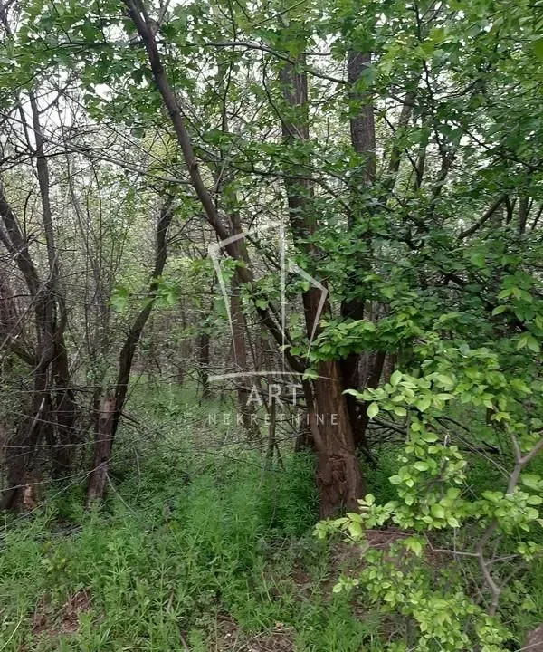 Sale, land lot, 1500m², Voždovac Sve Podlokacije, Beograd