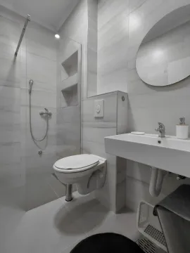 Modern bathroom equipped with a walk-in shower, washbasin, and toilet. - image 10