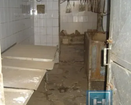 Prodaja, kuća, 60m², Majur, Jagodina - image 21