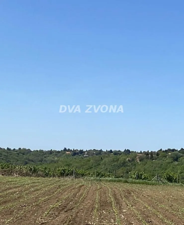 Pogled na okolnu prirodu i zelenilo sa placa.