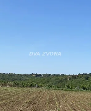 Pogled na okolnu prirodu i zelenilo sa placa. - image 3