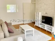 Rent, two bedroom apartment, 63m², Novi Beograd Blok 1 Fontana, Novi Beograd Sve Podlokacije - image 1