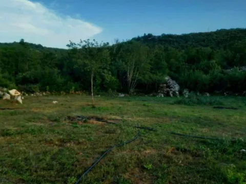 Pogled na zeleni plac sa travom i rastinjem. - image 4