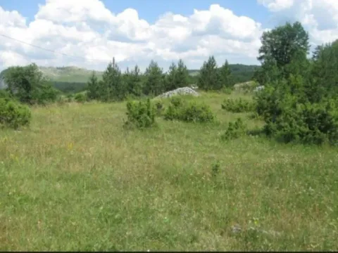 Prodaja, plac, 10560m², Njegovuđa, Žabljak - image 3