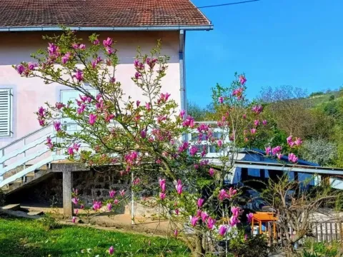 Prodaja, kuća, 197m², Sremska Kamenica, Petrovaradin - image 3