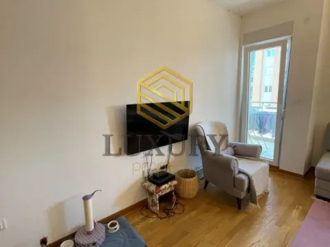 Izdavanje, jednosoban stan, 46m², City Kej, Podgorica - image 11