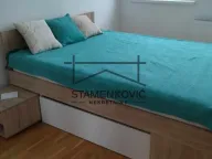 Izdavanje, jednosoban stan, 50m², Jugovićevo, Novi Sad Sve Podlokacije - image 5