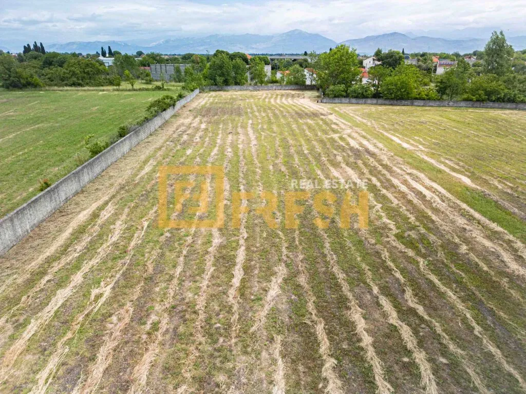 Prodaja, plac, 6000m², Zeta, Podgorica