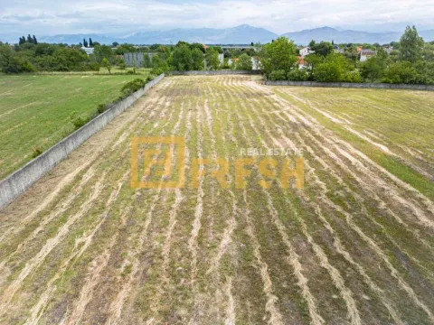 Sale, land lot, 6000m², Zeta, Podgorica - image 14