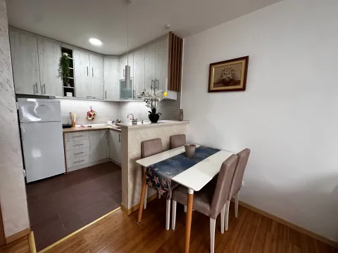 Izdavanje, jednosoban stan, 45m², Krivi Most, Podgorica - image 3