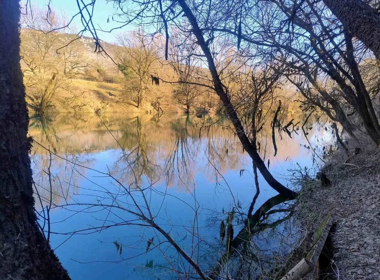 Prodaja, plac, 6100m², Orja Luka, Danilovgrad